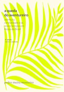A queda do aventureiro