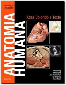 Anatomia Humana
